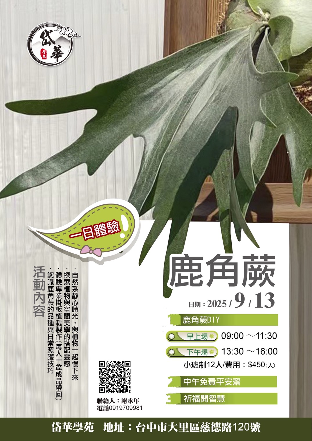 岱華學苑 鹿角蕨 一日體驗